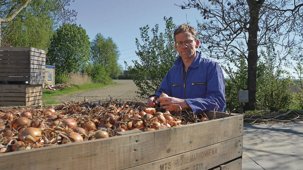 Jeender Bonnema: &bdquo;Ik blijf de uien vrij telen. Uiteindelijk is dat toch het meest lucratief.&rdquo;