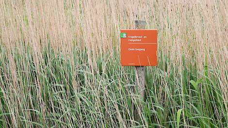 Beeld van Fries natuurgebied ter illustratie