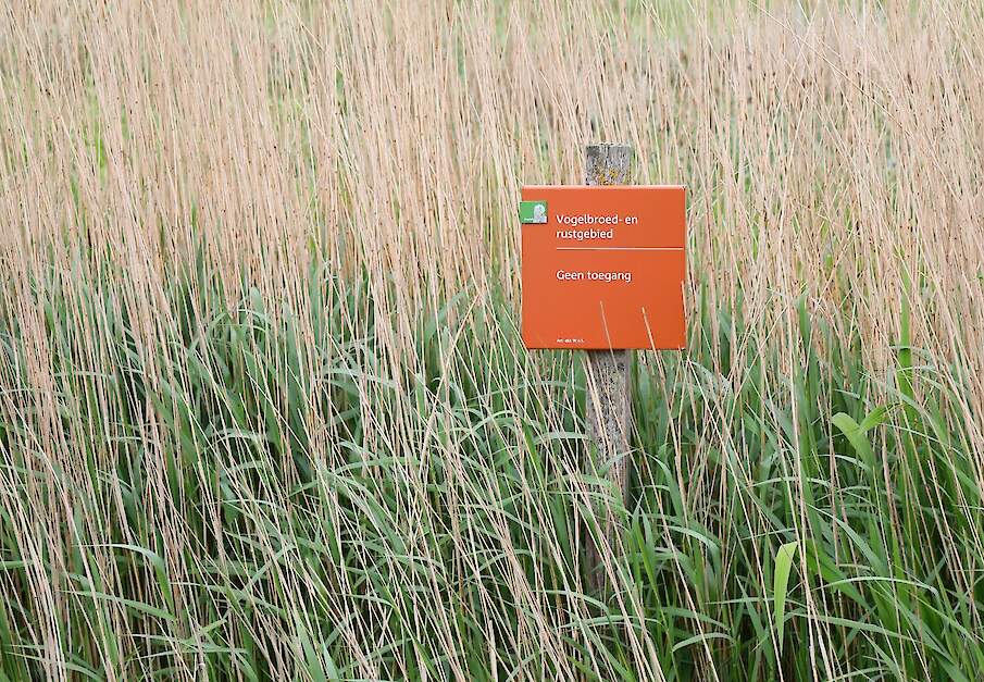 Beeld van Fries natuurgebied ter illustratie