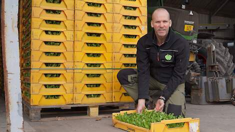 Dolf Ursem runt samen met compagnons Niels en Ivan Zuurbier het bedrijf UZ Vegetables in Heerhugowaard (N-H). Jaarlijks wordt er op zo&rsquo;n 250 hectare ijsbergsla, spitskool, witte kool en platte zoete kool geteeld. IJsbergsla in met ca. 170 hectare de groot