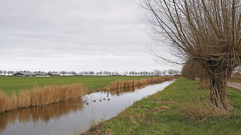 Door de wijzigingen in Aerius is er in de veenweidegebieden geen significante meetcorrectie meer, in de duingebieden nog wel.