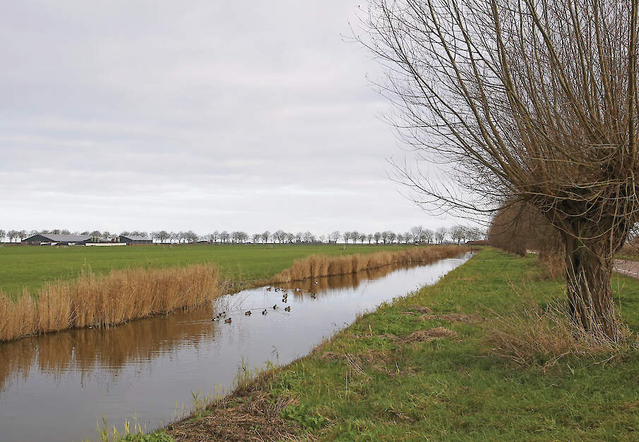 Door de wijzigingen in Aerius is er in de veenweidegebieden geen significante meetcorrectie meer, in de duingebieden nog wel.