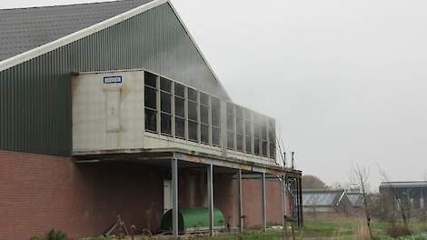 Stichting Stikstofclaim sommeerde Noord-Brabant te stoppen met het stallenbeleid namens een melkveehouder.