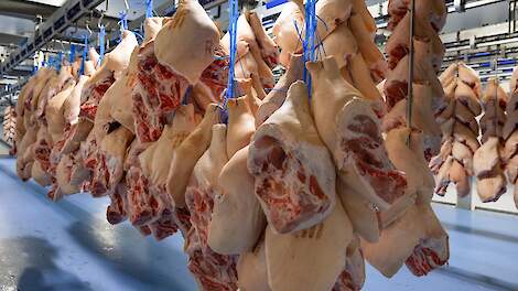 De Nederlandse varkensprijs blijft stabiel, terwijl de vraag naar varkens groot blijft en slachtgewichten verder dalen.