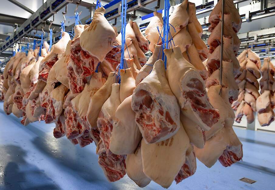 De Nederlandse varkensprijs blijft stabiel, terwijl de vraag naar varkens groot blijft en slachtgewichten verder dalen.