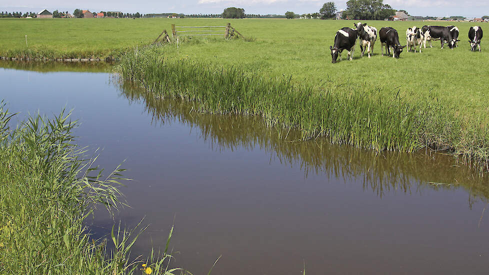 &lsquo;Voor de BBB is het onverteerbaar als we in 2035 concluderen dat de doelen zijn gehaald, maar er een kaalslag heeft plaatsgevonden in een gebied.&rsquo;