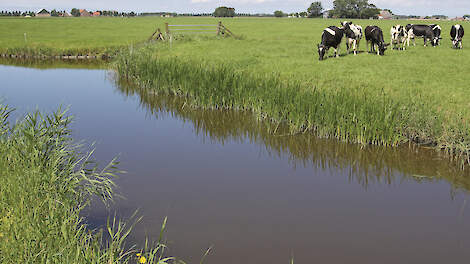 &lsquo;Voor de BBB is het onverteerbaar als we in 2035 concluderen dat de doelen zijn gehaald, maar er een kaalslag heeft plaatsgevonden in een gebied.&rsquo;