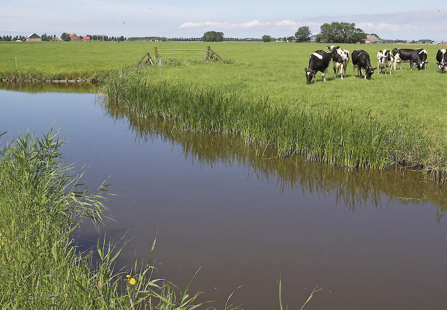 &lsquo;Voor de BBB is het onverteerbaar als we in 2035 concluderen dat de doelen zijn gehaald, maar er een kaalslag heeft plaatsgevonden in een gebied.&rsquo;