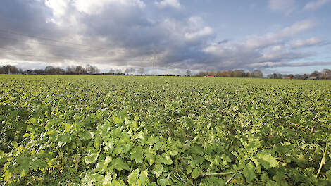 Boeren wachten mogelijk maanden op duidelijkheid over bezwaren tegen afgekeurde eco-activiteiten binnen de eco-regeling.