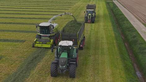 Loonbedrijf Hut aan het gras hakselen met een Claas Jaguar 960