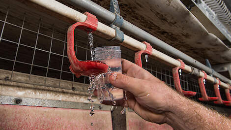 Water aftappen pluimveestal