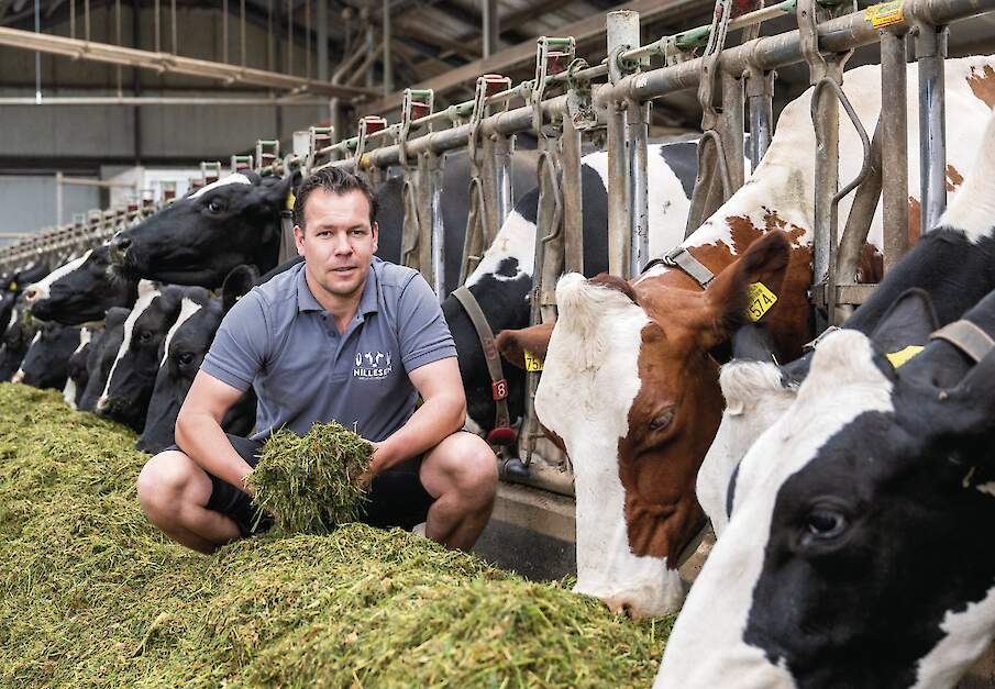 Melkveehouder William Nillesen tussen zijn koeien