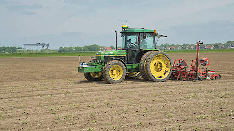 Akkerbouwers in Zeeland kampen met droogte en zout grondwater. Regen helpt tijdelijk, maar beregenen blijft noodzakelijk.