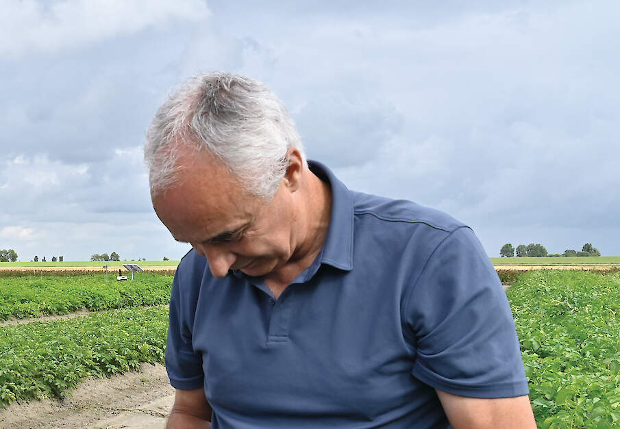 De eerste phytophthora-melding van het seizoen komt opvallend vroeg en zorgt volgens onderzoekers voor extra risico&rsquo;s.