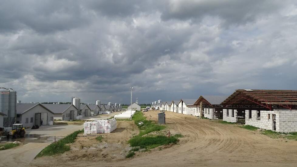 Een &lsquo;typisch&rsquo; vleeskuikenbedrijf in opbouw in midden in Polen bestaande uit 24 stallen en met totale capaciteit 1,4 miljoen vleeskuikens. Beeld ter illustratie.