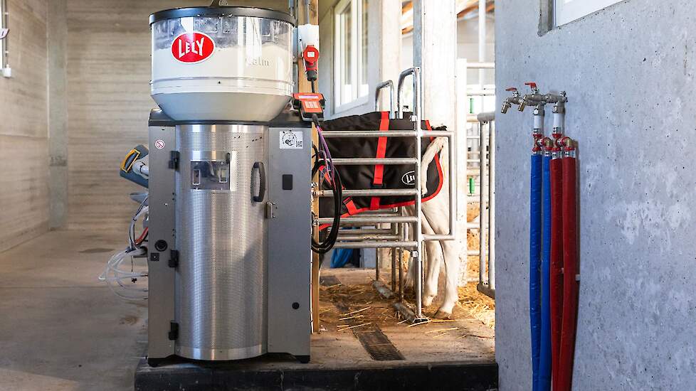 Kalf in kalverdrinkautomaat van Lely
