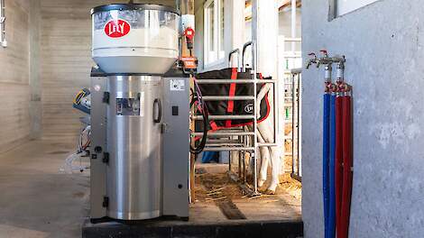 Kalf in kalverdrinkautomaat van Lely