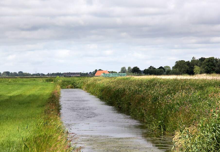 Beeld ter illustratie.