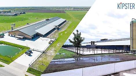 Kipster heeft in Ysselsteyn een nieuwe stal geopend en vergroot daarmee de productiecapaciteit met 15 miljoen eieren.