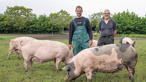 Jeroen (links) en Peter van Leeuwen bij de varkens, nog steeds goed voor 90 procent van de omzet van het bedrijf.
