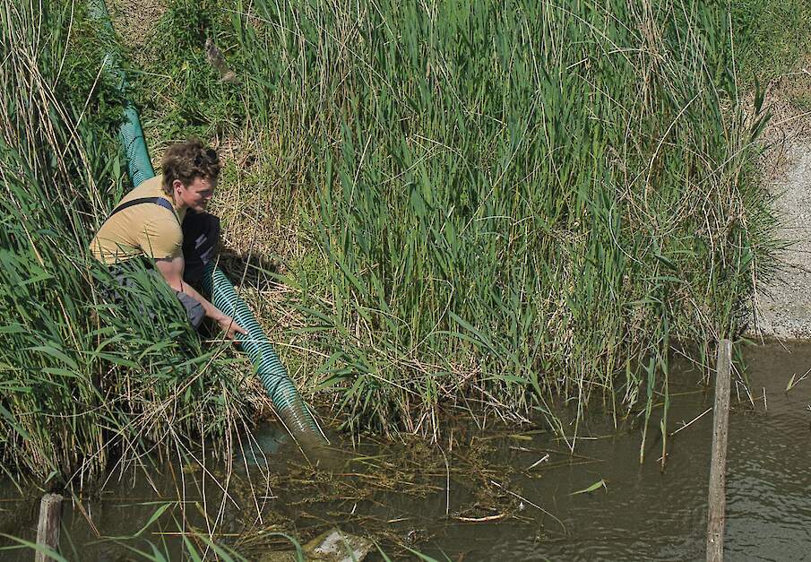 Voor het fertigeren kan akkerbouwer Willem in  t Anker zoetwater pompen uit een buffersloot.