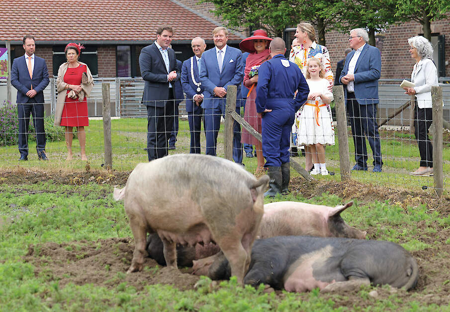 Na een rondleiding door de abdij bezocht het Koningspaar de kloosterboerderij waar al meer dan honderd jaar scharrelvarkens gehouden.