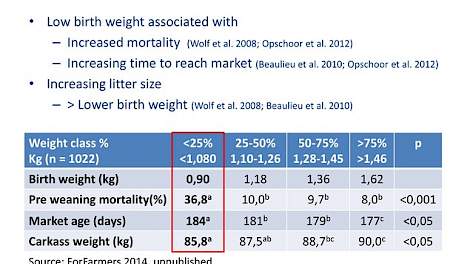 In deze tabel de vier gewichtscategorieën: 1080 gram of minder, 1100 tot 1260 gram, 1280 tot 1445 gram  en 1460 gram of meer. Bij de lichtste gewichtsklasse, gemiddeld 25 procent van het aantal geboren biggen, bleek het uitvalpercentage op 36,8 procent te