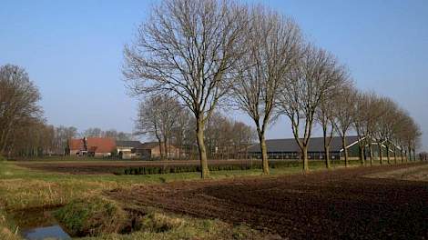 Aan de Grote Baan in Landhorst ligt het bedrijf van Erik Geene, varkenshouder en akkerbouwer. Het erf is sinds 1978 in eigendom van de familie, de grond volgde in 2004. Voor die tijd werkte de vader van Geene al 13 jaar als bedrijfsleider op het destijds