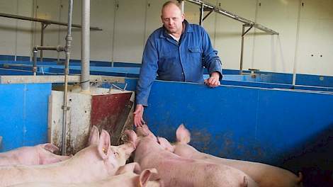 Jan Schoenmakers (44) is eigenaar van een aantal varkensbedrijven in zowel Nederland als België. Op zijn thuislocatie in Boxtel heeft hij in totaal 3.000 zeugen. In Berlicum houdt hij 2.000 opfokgelten en 850 zeugen. Op voergeldconstructie houdt hij nog 4