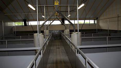 De lichtstraat aan beide zijdes van de nieuwe stal zorgt voor daglicht in de stal. De stal van Richard en Yvonne Hegeman bestaat uit zes afdelingen, vijf van 192 en één van 156 vleesvarkens.