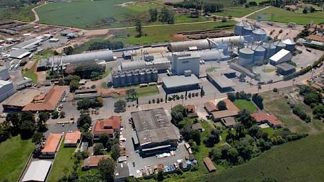 Het gemengde boerenbedrijf ‘Vale do Jotuva’ (Vallei van de Jotuva-rivier) ligt in de gemeente Carambeí (Paraná). Het bedrijf heeft varkens, melkvee, pluimvee en akkerbouw. Vale do Jotuva is aangesloten bij de Braziliaanse Nederlandse landbouwcoöperatie Ba