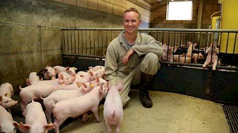 Het bedrijf telt 600 zeugen en 800 vleesvarkensplaatsen, inclusief de opfokgelten. Nadat het bedrijf in 2005 herbevolkt werd met SPF zeugen van PIC is Dirks eigen aanfok gaan doen. Op die manier heeft hij zelf in de hand wat voor zeugen er in zijn stallen