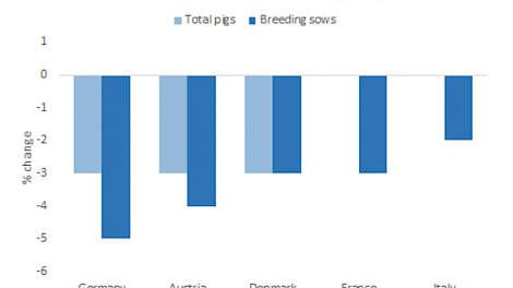 Cijfers aantal varkens vijf toplanden, zonder Nederland en Spanje