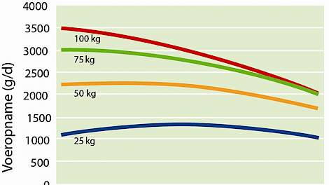 Grafiek invloed van temperatuur op voeropname bij verschillende varkensgewichten