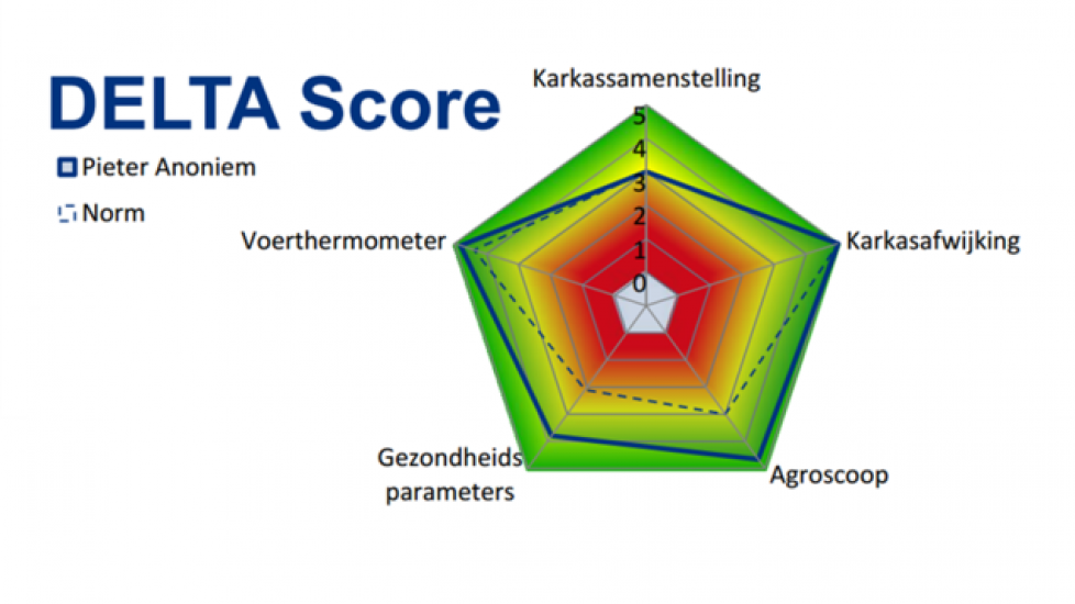 De Delta-Score laat in een overzichtelijk spinnenweb in één oogopslag zien wat de verbeterpunten van uw bedrijf zijn