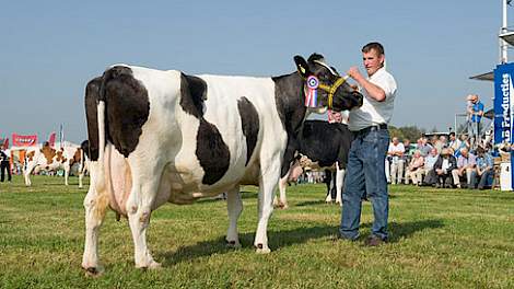 Finaliste en 10.000 kg V&E koe Beatrix 39 va de fam. Spruyt uit Zegveld