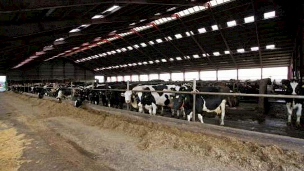 Overeenkomstig met Vlekkeloos gespannen Mega melkrobot boerderij te koop | Melkvee.nl - Nieuws en kennis voor de  melkveehouder