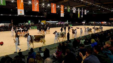 De Holland Holstein sHow telde een record aantal dieren en werd ook goed bezocht.