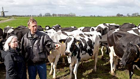 Mary Weeks en Jan Schilder bekijken een koppel Nederlandse koeien.