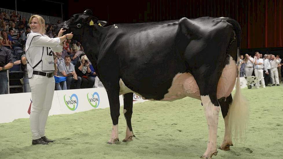 Algemeen kampioene zwartbont Bons-Holsteins Koba 191 (Jasper x Integrity).