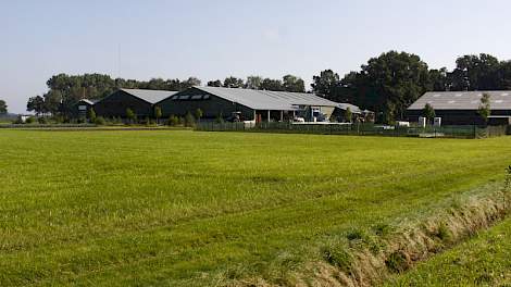 Agrifirm heeft samen met Praktijkonderzoek Plant & Omgeving (PPO) verschillende demovelden liggen voor proeven met verschillende akkerbouw en ruwvoergewassen.