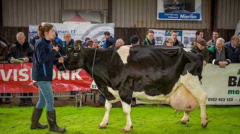 Met catalogusnummer 83 was ze de oudste koe van de keuring. Manfred-dochter Dora 442 van Corné Machielsen uit Prinsenbeek had met ruim 191.000 kg melk dan ook de hoogste levensproductie op haar naam. De bijzondere prestatie viel in de smaak bij het publie