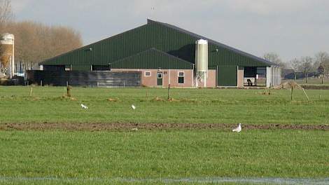 Westerlaken koos voor een 0+6+0 opstelling. Door de voergangen niet te onderkelderen kon hij goedkoper bouwen. Daarnaast vindt hij deze opstelling praktischer vanwege korte looplijnen.