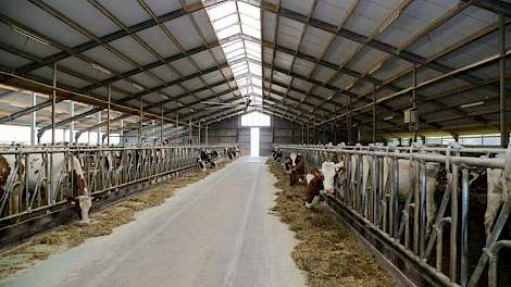 Henk Tijert uit Neede zit samen met zijn zoon Erik en vrouw Betty in maatschap. De familie breidde de bestaande 2+2 rijige ligboxenstal uit naar een 2+3 rijige stal met Italiaans dak.