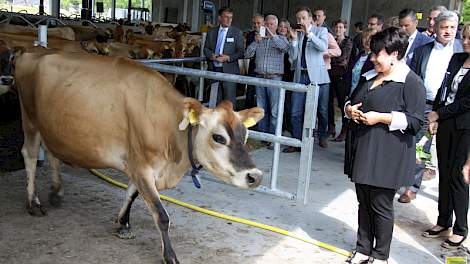 Staatssecretaris Sharon Dijksma opent officieel de deuren van een wel heel bijzondere stal in Kaatsheuvel. De Kwatrijnstal van Sjaak en Suzanne Sprangers is sinds enkele dagen in gebruik en biedt ruimte aan 57 Jersey koeien.  De Kwatrijn is een innovatiev