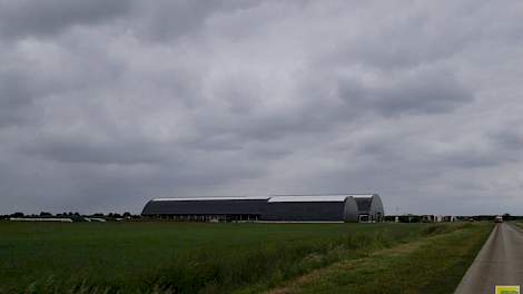 Op de oude locatie in Hengelo waren de percelen slecht verkaveld en hadden Henk en Dionne Hesselink weinig huiskavel. Toen de Provincie Overijssel en de verpachter de grond wilden gebruiken voor natuurontwikkeling , besloten ze het bedrijf te verplaatsen.