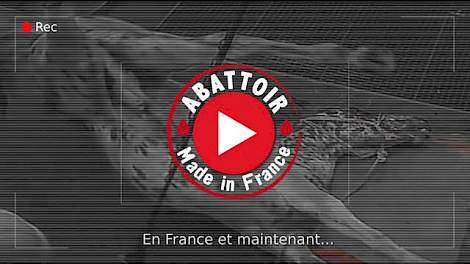 Abattoir made in France - Alès (English subtitles)