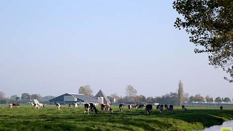 Toen Jos in 1997 het bedrijf van zijn vader overnam, molk hij 30 koeien op de grupstal. Daarnaast werkte hij nog buiten de deur. In 2001 werd er een 2+1 rijige ligboxstal gebouwd met 85 ligboxen, met als doel 1 miljoen kilo melk af te leveren, zodat ook z