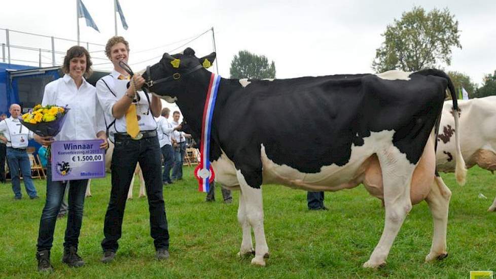 Geertje 422 tijdens de finale van de Koeverkiezing in Hoornaar met haar begeleider en eigenaar Jan Schouten en zijn vriendin Marieke van Mastwijk.