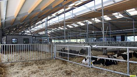 Behoorlijk wat automatisering en handige looplijnen zijn belangrijke kenmerken van de nieuwe stal bij Arjan en Sjaak Weijers in Giesbeek bij Arnhem. Zij bouwden een 3+3 ligboxenstal voor 280 stuks melkvee.